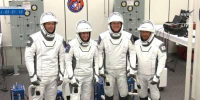 Тамара Песке - Акихико Хосидэ - Меган Макартур - Видео запуска Crew Dragon-2 23 апреля - SpaceX прерывает монополию России на полеты к МКС - ТЕЛЕГРАФ - telegraf.com.ua - Япония