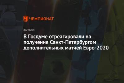 В Госдуме отреагировали на получение Санкт-Петербургом дополнительных матчей Евро-2020
