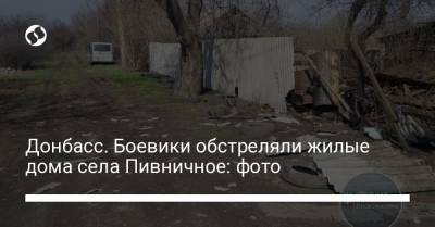 Донбасс. Боевики обстреляли жилые дома села Пивничное: фото