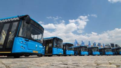 Подмосковье может стать первым регионом РФ, где запустят автобусы на водороде