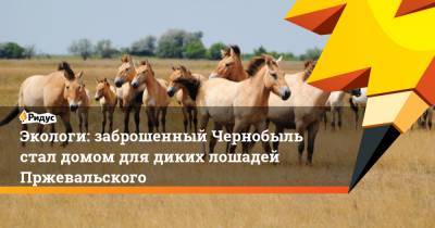 Экологи: заброшенный Чернобыль стал домом для диких лошадей Пржевальского