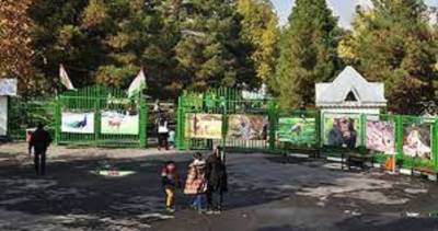 Частникам разрешено строить зоопарк в Душанбе