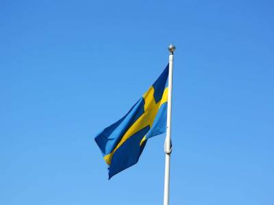 Шведский эксперт Каролина Вендиль Паллин назвала Россию «региональной сверхдержавой»