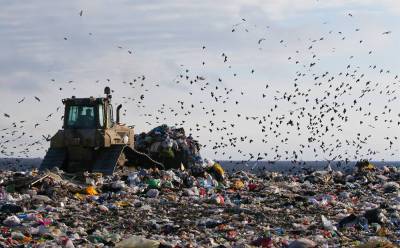 В Ленобласти продлили прием заявок на конкурс экоконцепций и идей по переработки отходов