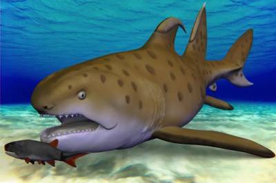 Древняя акула-годзилла получила имя