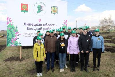 Игорь Артамонов посадил более 50 сосен во время акции «Сад Памяти»