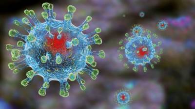 Обнаружены доисторические следы эпидемий коронавируса