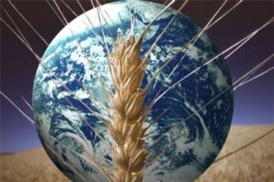 Климат и вопросы продовольствия: как они связаны? - argumenti.ru - Австралия