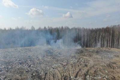В Петушинском районе горит мусорный полигон