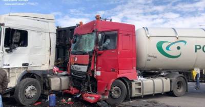 На трассе Киев-Чоп столкнулись два грузовика и микроавтобус: есть пострадавший (фото)