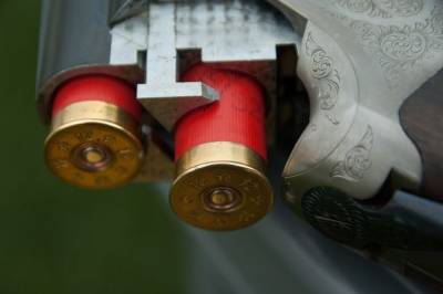 В Думу внесен законопроект об усилении ответственности за торговлю оружием