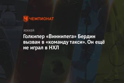 Михаил Бердин - Голкипер «Виннипега» Бердин вызван в «команду такси». Он ещё не играл в НХЛ - championat.com - Санкт-Петербург