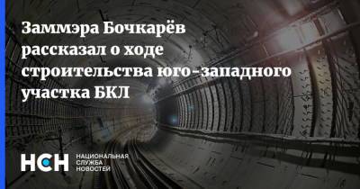 Заммэра Бочкарёв рассказал о ходе строительства юго-западного участка БКЛ