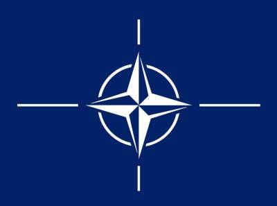 Греческий аналитик Пол Антонопулос назвал ничтожными шансы Украины и Грузии вступить в НАТО