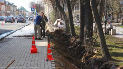 Подрядчик повредил корни деревьев при ремонте ограды Верхнего городского сада