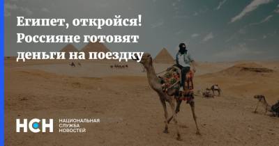 Египет, откройся! Россияне готовят деньги на поездку