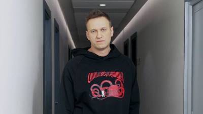 Навальный - Блогер - Блогер Меркури разобрался в публикации Навального об окончании голодовки - polit.info