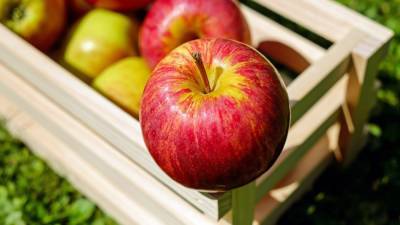 Диетолог Шмелева раскрыла важную роль яблок для здоровья