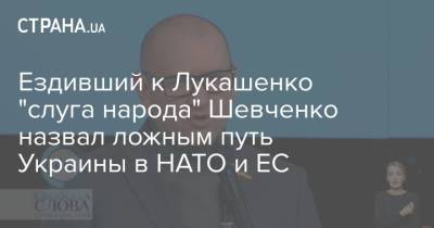 Ездивший к Лукашенко "слуга народа" Шевченко назвал ложным путь Украины в НАТО и ЕС