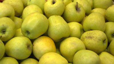 Диетолог Шмелева раскрыла способ замедлить процесс старения с помощью яблок