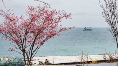 Тепло и дождливо: какой будет погода в Крыму в субботу
