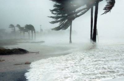В Тихом океане образовался первый в этом году супертайфун "Суриге"