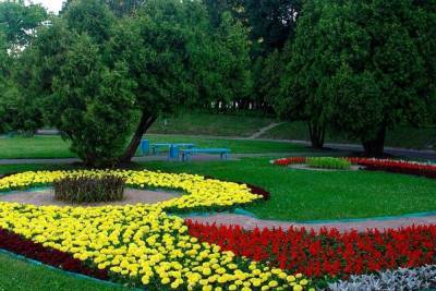 Победители конкурса на необычное озеленение дворов смогут получить по 100 тысяч рублей от мэра Красноярска