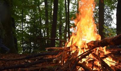 За прошедшие сутки в Тюменской области произошло 11 лесных пожаров