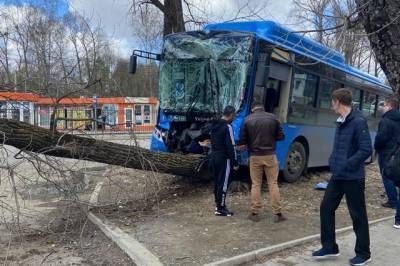 В Хабаровске автобус попал в ДТП с автомобилем и деревом.
