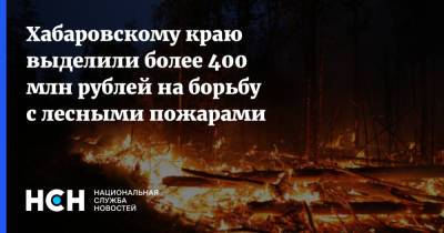 Хабаровскому краю выделили более 400 млн рублей на борьбу с лесными пожарами
