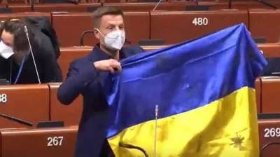 В ПАСЕ перенесли рассмотрение санкций против Гончаренко за простреленный флаг Украины с Донбасса
