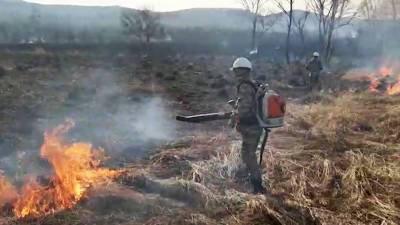 В 30 регионах объявлен особый режим из-за природных пожаров
