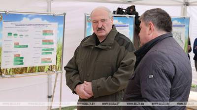 Лукашенко о развитии чернобыльских территорий: надо четко понимать, где будут жить люди