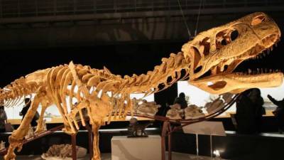 Голландские палеонтологи смоделировали походку тираннозавра