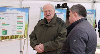 Александр Лукашенко о развитии чернобыльских территорий: надо четко понимать, где будут жить люди