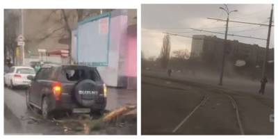 Свирепая стихия пронеслась по Харьковской области: кадры бедствия