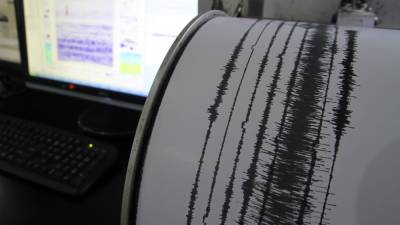 Мощное землетрясение зафиксировали у берегов Королевства Тонга