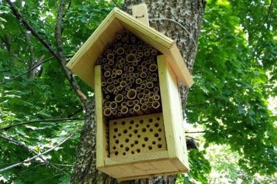 Домики для пчел появятся в лесопарках Москвы