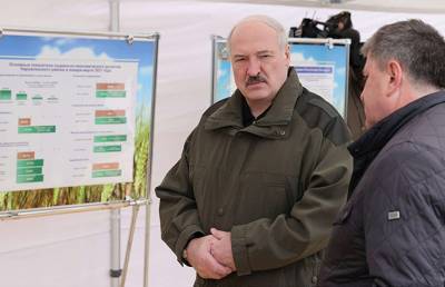 Лукашенко о развитии чернобыльских территорий: надо понимать, где будут жить люди