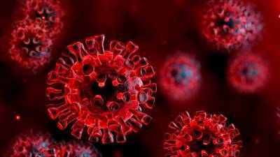 За минувшие сутки в Астраханской области выявлено 66 случаев заражения коронавирусом