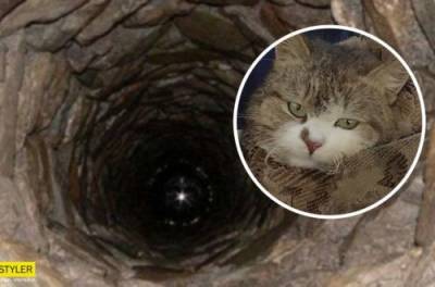 Под Харьковом спасли кота, две недели сидевшего в глубоком колодце. ВИДЕО