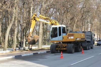 Подрядчик Верхнего горпарка в Рязани повредил корни деревьев и кустарников