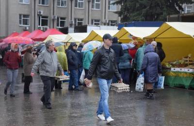Саженцы кедра и персика продают на ярмарке в Липецке