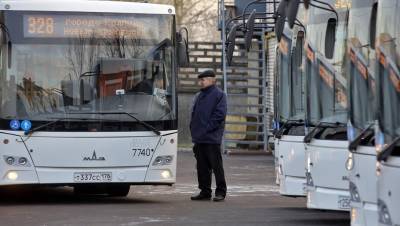На маршруты в Петербурге выйдут 2,8 тыс. лазурных автобусов с USB-зарядками