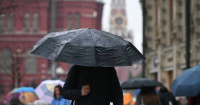 Апрель в Москве назвали одним из самых дождливых за последние полвека