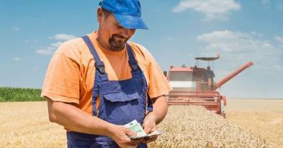 Зарплата в агросекторе на 46% выше средней по Украине: какие специальности самые доходные