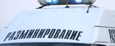 Сотрудница администрации Новосибирска нашла гранату Ф-1 во время субботника