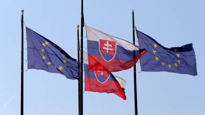 Профессор оценила заявления МИД Словакии о подозрениях в отношении дипломатов России