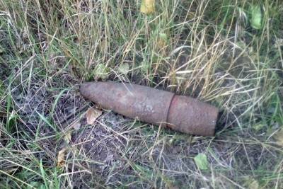 Житель Тамбовского Района нашёл в лесу снаряд гаубицы времен войны