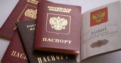 Госсдума планирует выдать жителям Донбасса 500 тыс. паспортов РФ